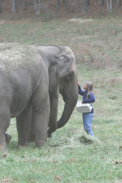 Carol Buckley and Tarra the elephant