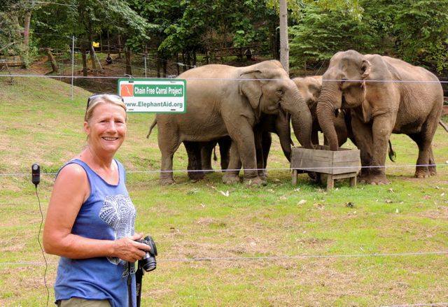 Carol Buckly with elephants