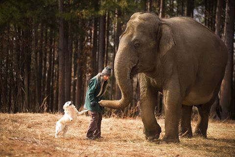 Carol Buckley with elephant Tarra and dog Bella