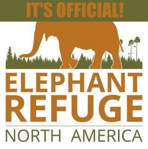 elephant sanctuary in the U.S.