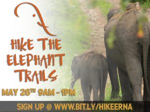 hike the elephant trails