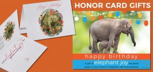 holiday honor card for elephant lovers
