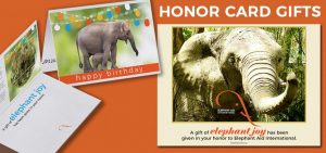 support elephants with an EAI honor card