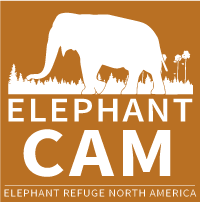 elephant cam logo