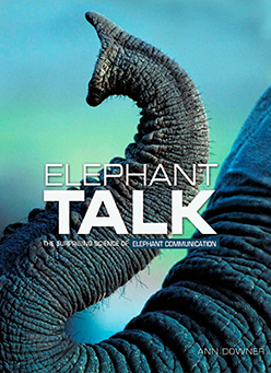 Elephant Talk book cover