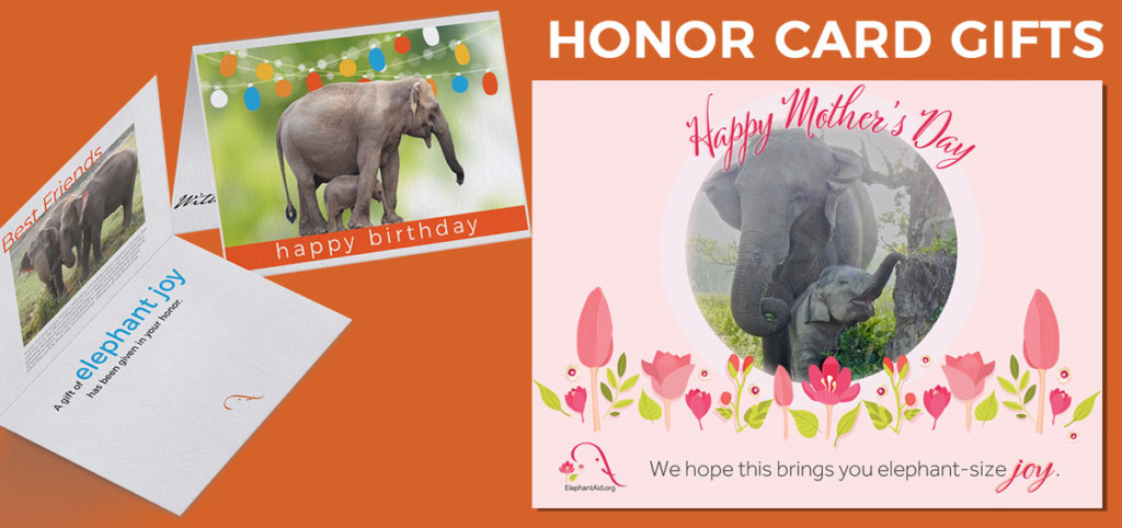 EAI Honor Cards Make a Great Gift