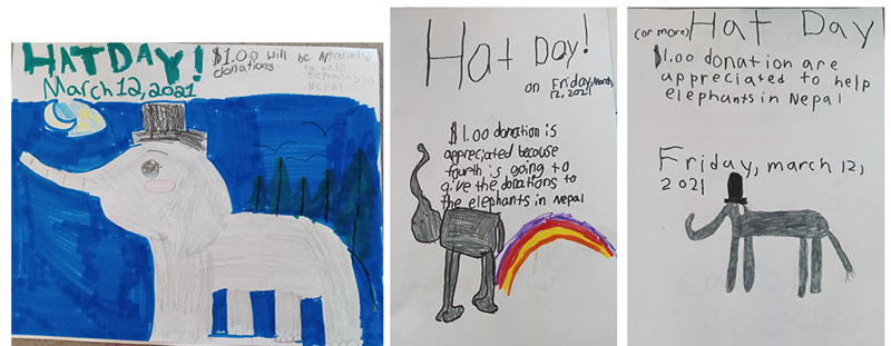 A sampling of posters students made for Hat Day to raise funds for elephants in Nepal