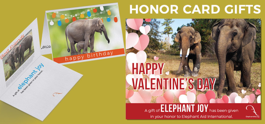 EAI Honor Cards Make a Great Gift