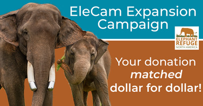EleCam Expansion Campaign Donation Match