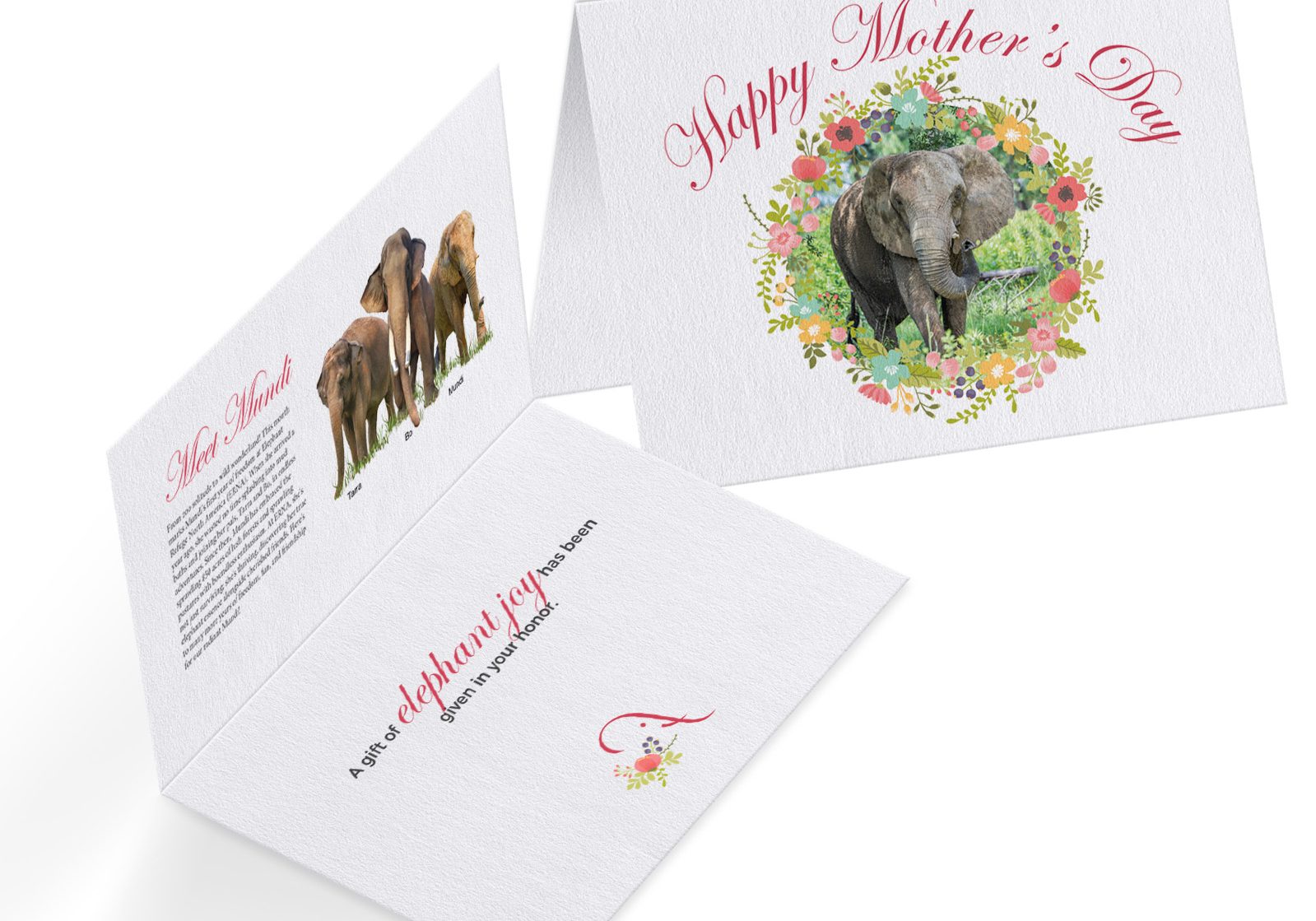 MothersDaycardmockup-2024