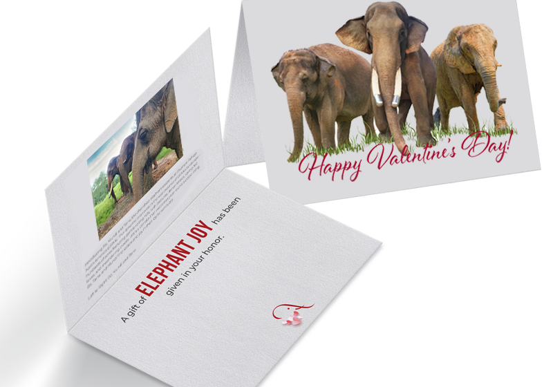 valentinehonorcardmockup24